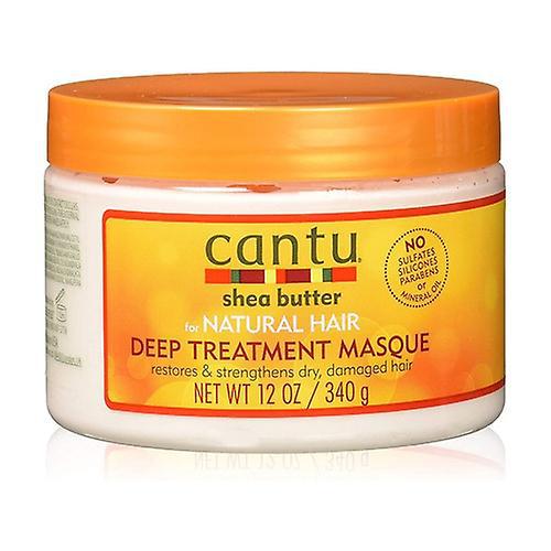 0817513010040 Cantu For Natural Hair Depp Treatment Masque 340g - Image 1