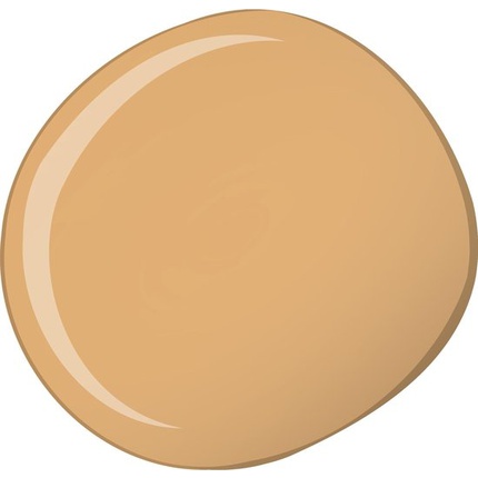 10049_c4e347f0c3fee8cff92d8c5b3b544547 Estee Lauder Double Wear Stay in place Foundation 2n1 Desert Beige Spf 10 - Image 1