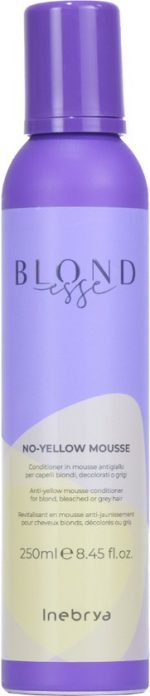 Inebrya No-Yellow Mousse 250ML