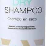 Droge Shampoo Eurostil SECO TASSEL (300 ml)
