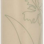 Aveda Body Care Rosemary MinthandBodywash 250ml