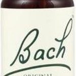Bach 36 Wild Oat 20ml
