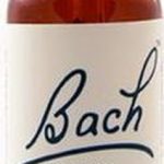 Bach 12 Gentian 20ml