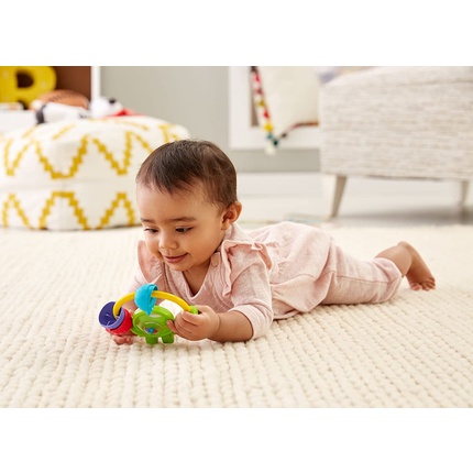 Jucarie pentru dentitie in forma de testoasa Fisher Price