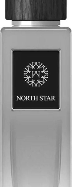 Herenparfum EDP The Woods Collection 100 ml Natural North Star