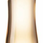 Versace Woman 100 ml Eau de Parfum - Damesparfum