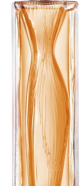 Givenchy Organza Edp 100ml@