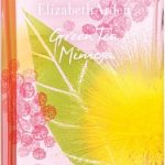 Elizabeth Arden Green Tea Mimosa - 100ml - Eau de toilette