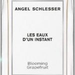 Angel Schlesser De wateren van een moment bloeiende grapefruit Water Deating Spray 150ml