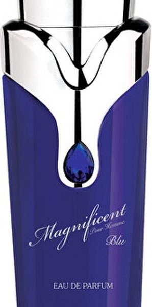 Herenparfum Armaf EDP Magnificent Blue Pour Homme (100 ml)