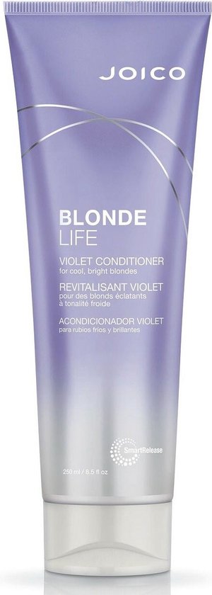 300x840-48 Joico - Blonde Life Violet Conditioner - Image 1
