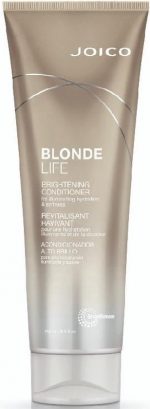 Joico - Blonde Life Brightening Conditioner - Image 2