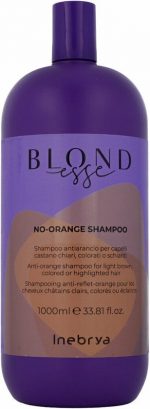 Shampoo for Blonde or Graying Hair Inebrya BLONDesse 1 L