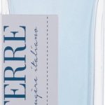Gianfranco Ferre - Fougere Italiano - Eau de toilette - 100ml