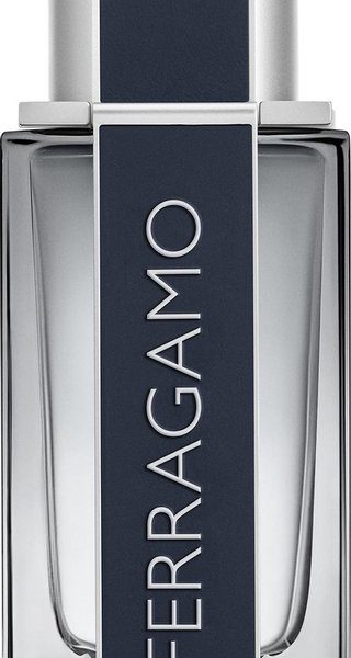 Salvatore Ferragamo Ferragamo - 50 ml - eau de toilette spray - herenparfum