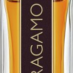 Herenparfum Salvatore Ferragamo EDP Ferragamo Spicy Leather 100 ml