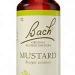 Food Supplement Bach Mustard 20 ml