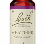 Food Supplement Bach Heather 20 ml
