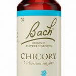 Food Supplement Bach Chicory 20 ml