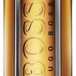 Hugo Boss The Scent 100 ml Eau de Toilette - Herenparfum