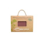 Couleur Caramel Maquillaje Sombra De Ojos 099 Pepite Cuivree 1un