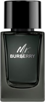 Burberry Mr. Burberry EDP M 100 ml