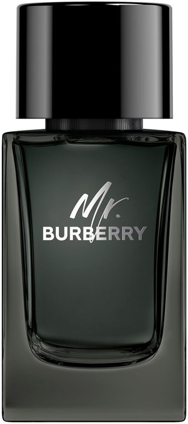 374x840-243 Burberry Mr. Burberry EDP M 100 ml - Image 1