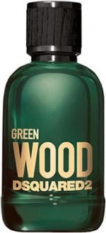Dsquared2 Green Wood pour Homme - Eau de toilette 100 ml - Herenparfum