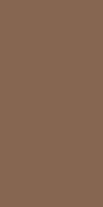 Rimmel London Brow this way Eyebrow kit - 002 Brown - Wenkbrauwpoeder - Image 4