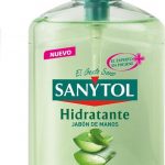 Handzeep met dispenser Antibacterias Sanytol (250 ml)