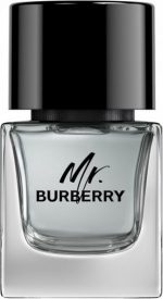 Mr. Burberry Eau de Toilette - Image 2