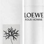 LOEWE POUR HOMME deo vapo 100 ml