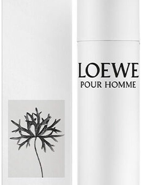 LOEWE POUR HOMME deo vapo 100 ml