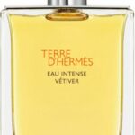 Hermes Terre d'Hermès Eau Intense Vétiver 100 ml - Eau de Parfum - Herenparfum