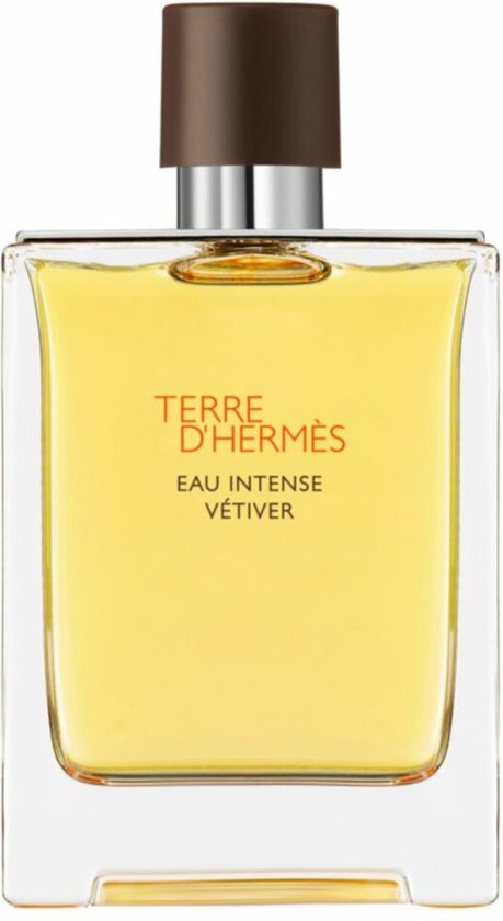 459x840-28 Hermes Terre d'Hermès Eau Intense Vétiver 100 ml - Eau de Parfum - Herenparfum - Image 1