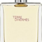 Hermes Terre D'Hermes EDT M 100 ml