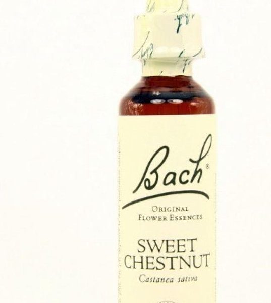 Bach 30 Sweet Chestnut