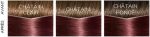Haarkleur Zonder Ammoniak Casting Creme Gloss L'Oreal Expert Professionnel Koper kastanje - Image 3