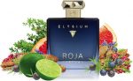 Roja Elysium Pour Homme by Roja Parfums 100 ml - Extrait De Parfum Spray - Image 2