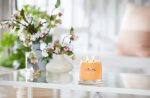 Yankee Candle - Mango Ice Cream Signature Medium Jar