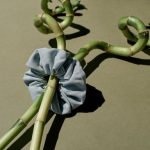 Natucain Invisibobble Sprunchie Silky Bamboo