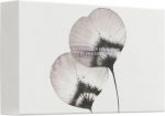 RITUALS Homme - Small Geschenkset - Aromatisch - Homme & Sport - Image 3