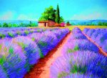 Clementoni Legpuzzel - High Quality Puzzel Collectie - Lavender Scent - 500 Stukjes, puzzel volwassenen - Image 3