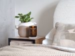 WoodWick ReNew Tomato Leaf & Basil Large Candle - Image 2