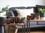 WoodWick ReNew Ginger & Tumeric Large Candle - Image 3