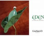Cacharel Eden - 50ml - Eau de parfum - Image 2