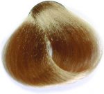 Fanola Haarverf Professional Colouring Cream 10.3 Blonde Platinum Golden - Image 3