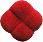 Shiseido Kwast Make Up Hulpmiddelen  Accessoires Hanatsubaki Hake Polishing Face Brush - Image 8