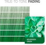 Wella Cf Cr Neverseen Green 60ml We_almea - Image 4
