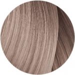 Permanent Colour Creme L'Oreal Professionnel Paris Dia Light Nº 9.2 Ammonia-free 50 ml - Image 4